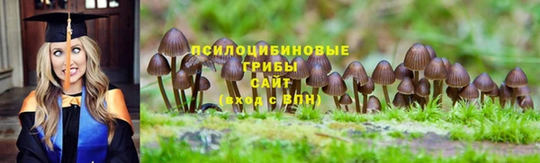 mdma Осташков