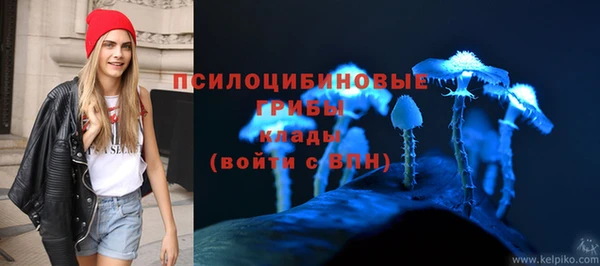 MESCALINE Осинники