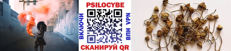 Псилоцибиновые грибы прущие грибы Семилуки