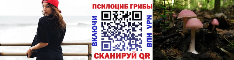 сколько стоит  Семилуки  Псилоцибиновые грибы прущие грибы 
